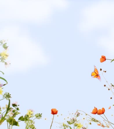 Flowers background